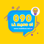 Đầu số 090 là mạng gì?
