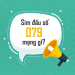 Sim đầu số 079 mạng gì?