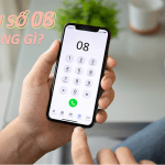 Giải đáp thắc mắc: Sim đầu số 08 là mạng gì, ý nghĩa thế nào?