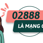 0288 là mạng gì? Đầu số 0288 có phải lừa đảo?