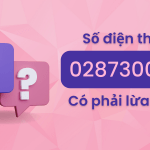 Số điện thoại 0287300111 là mạng gì? Có phải là số điện thoại lừa đảo