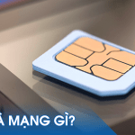 0909 là mạng gì? Ý nghĩa có gì đặc biệt