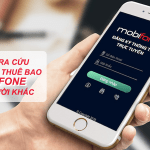 Cách tra cứu thông tin thuê bao Mobifone cho người khác như thế nào?