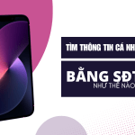 Tìm thông tin cá nhân qua số điện thoại như thế nào?
