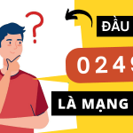 Đầu số 02499 là gì?