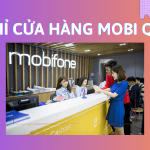 Cửa hàng Mobifone quận 5 gồm những địa chỉ nào?