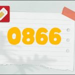 Đầu số 0866 là mạng gì?
