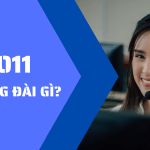 9011 là tổng đài gì? Có phải là lừa đảo không?