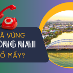 Mã vùng Đồng Nai là số bao nhiêu?
