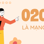 Đầu số 0208 là mạng gì?