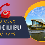 Mã vùng Bạc Liêu là bao nhiêu?