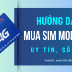 Hướng dẫn cách mua sim Mobifone số đẹp